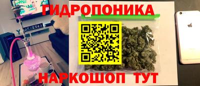Альфа ПВП Анапа